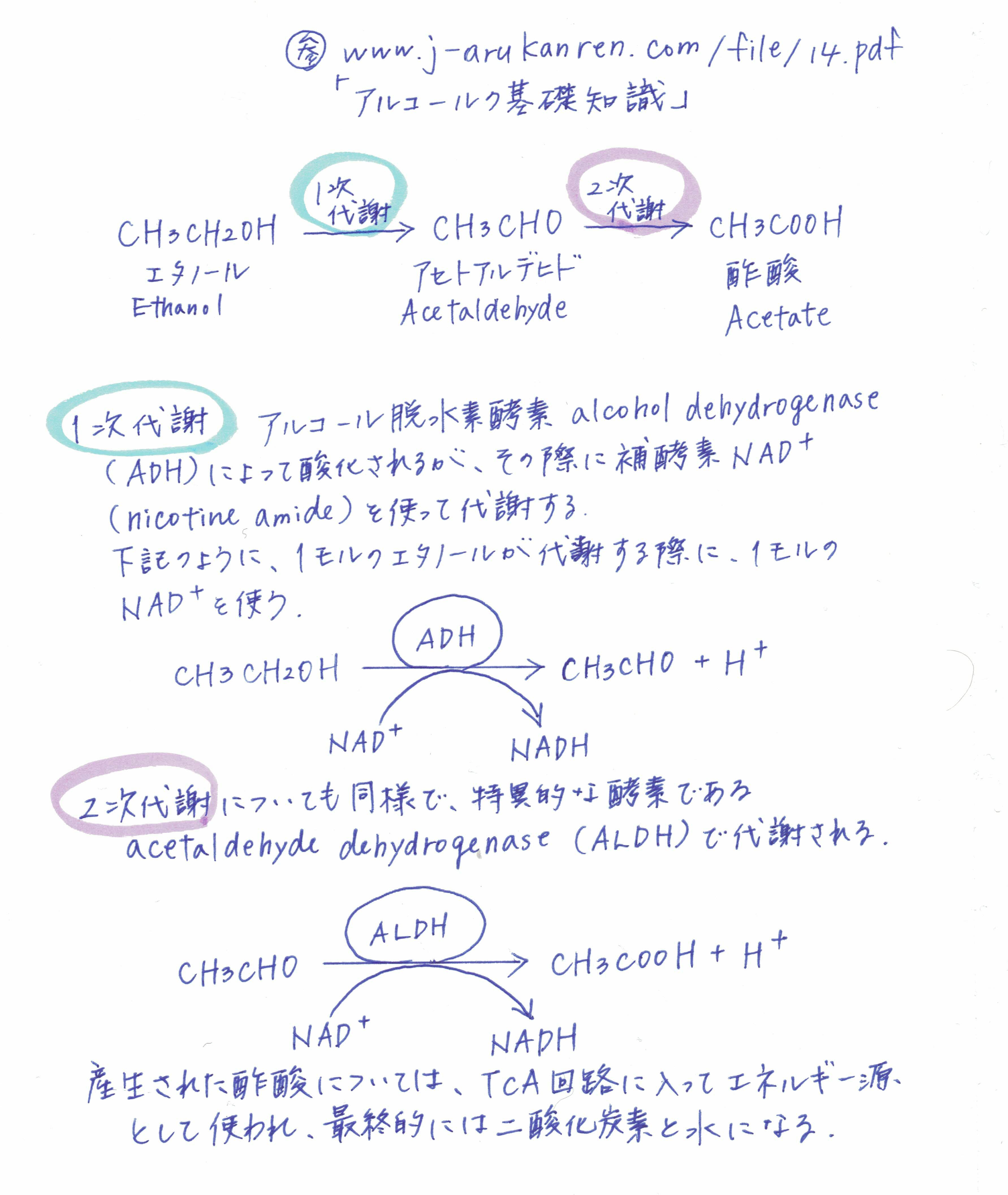 第一級アルコールの酸化反応