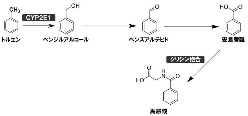 トルエンの酸化反応.jpg