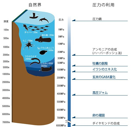 圧力の利用