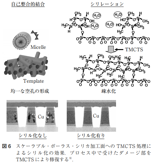 シリル化なし、シリル化あり.png